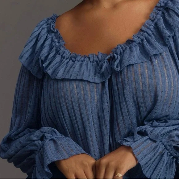 Anthropologie Long-Sleeve Sheer Striped Crop Blouse In Wedgwood Womens XL - Picture 4 of 7